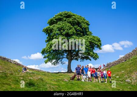 La famiglia posa per le fotografie a Sycamore Gap l'iconica vista di un singolo albero di Sycamore sul percorso nazionale a lunga distanza del Muro di Adriano Foto Stock