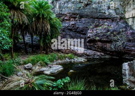 Varie vedute del forte di Ranthambore Foto Stock