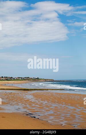 Seaburn Beach a Sunderland, Inghilterra. La spiaggia di sabbia è vista in una soleggiata giornata estiva. Foto Stock