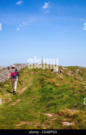 Donna che cammina nella campagna del Northumberland lungo le mura di Adriano romano 0n Windshield precipita verso il punto di trig al punto più alto del sentiero Foto Stock