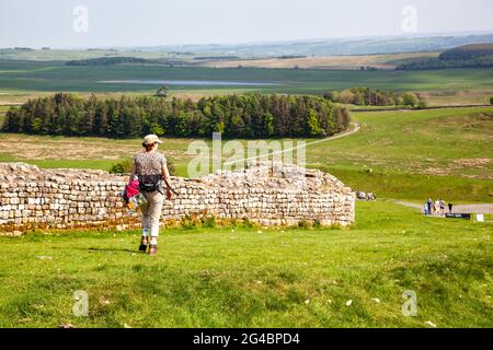 Donna che cammina nella campagna del Northumberland Inghilterra lungo le mura romane costruito Adriano sentiero a lunga distanza sentiero nazionale passato Housesteads forte Foto Stock