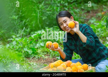 giovane agricoltore che tiene pesche Foto Stock