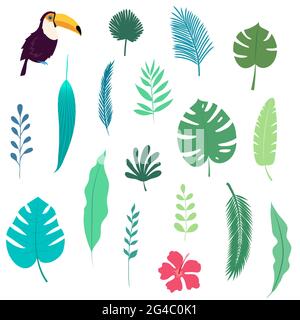 Set di foglie tropicali astratte. Diverse silhouette di foglie di palma, fiori di ibisco e uccelli toucan isolati su illustrazione vettoriale bianca. Illustrazione Vettoriale