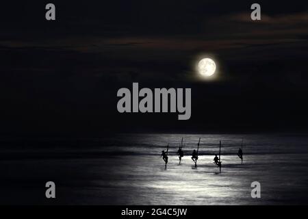 Pescatori su palafitte in silhouette al chiaro di luna a Galle, Sri Lanka Foto Stock