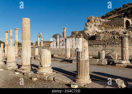 Colonne romane nelle rovine di Efeso, Selcuk, Smirne, Turchia Foto Stock