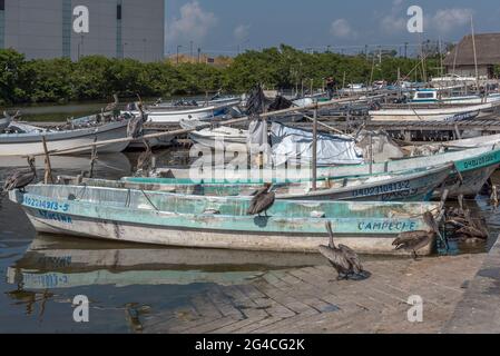 Barche da pesca nel molo di San Francisco, Campeche, Messico Foto Stock