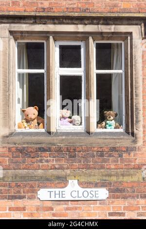 Teddy Bears in casa finestre, The Close, Lichfield, Staffordshire, Inghilterra, Regno Unito Foto Stock