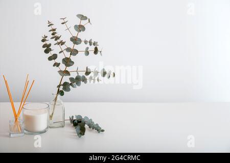 Bastoncini profumati per la casa, candela profumante per l'ambiente e bouquet di rami di eucalipto in vaso contro la parete bianca sul tavolo. Comfort interno domestico Foto Stock