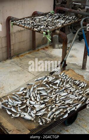Pesce pescato localmente che asciuga su scaffali fuori del mercato umido, Sai Kung, New Territories, Hong Kong Foto Stock