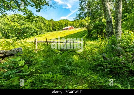 Un vecchio campo agricolo e fienile rosso vicino Connor Pond a Petersham, Massachusetts Foto Stock