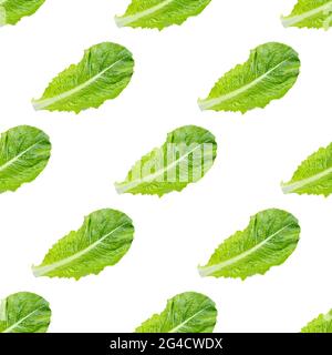 Fresco verde lattuga romaine foglie senza cuciture motivo su sfondo bianco. Foto Stock