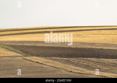 Coltivato campi agricoli ai piedi delle colline Foto Stock