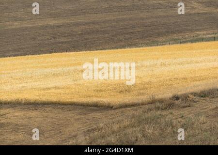 Coltivato campi agricoli ai piedi delle colline Foto Stock