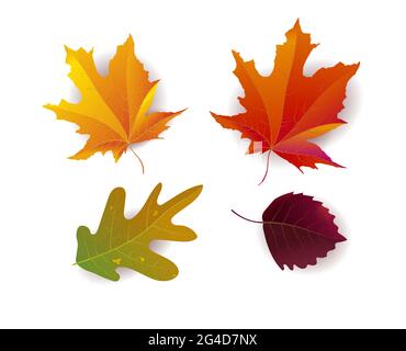 Set di belle foglie d'autunno. Ideale per sfondo, scheda, banner, modello di icone. Illustrazione vettoriale. Illustrazione Vettoriale