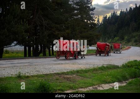 Le carrozze trainate da cavalli che portano i turisti intorno al Parco Nazionale del Lago Abant sono allineate una dopo l'altra. Messa a fuoco selettiva Foto Stock