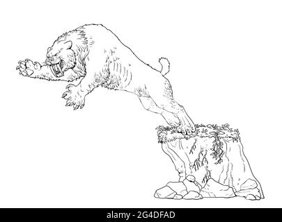 Sabre dente gatto sulla caccia. Illustrazione degli animali. Attacco gatto con denti Sabre. Libro da colorare. Foto Stock