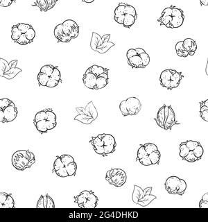 Motivo senza cuciture con fiori di cotone. Batuffolo di cotone. Illustrazione del vettore di scorta per sfondi, sfondi di pagine Web, texture di superficie, tessuti. Illustrazione Vettoriale