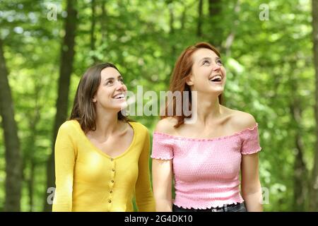 Due amici stupiti che contemplano viste che camminano in una foresta durante l'estate Foto Stock