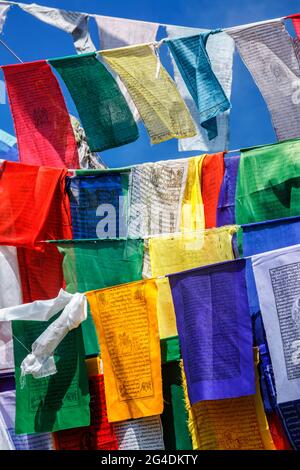 Bandiere buddiste di preghiera lunga a McLeod Ganj, Himachal Pradesh, India Foto Stock