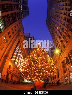 2006 STORICO ALBERO DI NATALE LUCI MURO VIA BORSA EDIFICIO (©GEORGE B POST 1903) QUARTIERE FINANZIARIO MANHATTAN NEW YORK CITTÀ STATI UNITI D'AMERICA Foto Stock