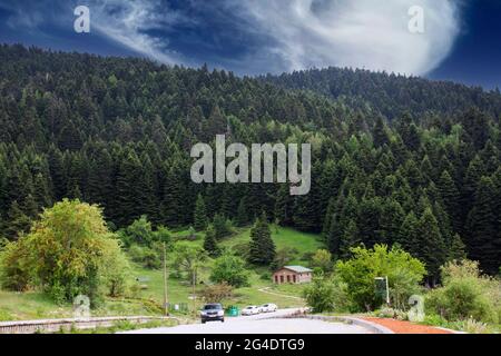 Chalet, pineta e autostrada nel Parco Nazionale del Lago Abant Foto Stock