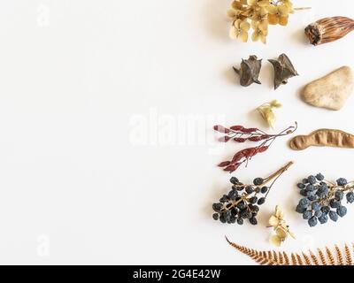 Flat Lay autumn composition. Bordo o cornice fatta di vari materiali di foresta di caduta. Vista dall'alto, spazio di copia Foto Stock