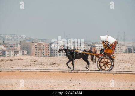 18 maggio 2021. giza, Cairo, Egitto. coachman conduce un carro sullo sfondo lungo una strada deserta nella città moderna del Cairo Foto Stock