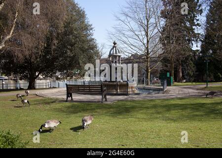 Bridge Gardens a Maidenhead, Berkshire nel Regno Unito Foto Stock