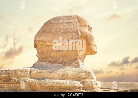 Ritratto di Sphinx Egitto. Ritratto della Grande Sfinge d'Egitto chiuso. Egitto, Giza. Vista laterale Foto Stock