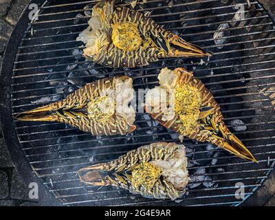 Aragoste spinose cucinate e grigliate su un barbecue in un giardino Foto Stock