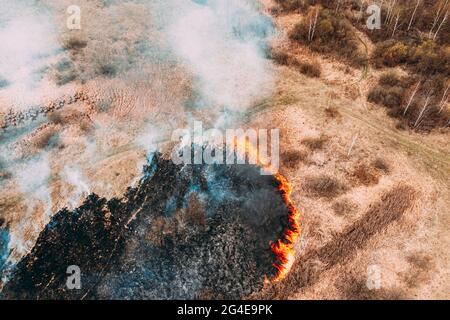 Vista aerea. Erba secca brucia durante la siccità e il tempo caldo. Bush fuoco e fumo in campo prato. Il fuoco selvaggio e aperto distrugge l'erba. Natura in pericolo Foto Stock