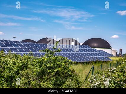 Impianto fotovoltaico con sistema a biogas in background Foto Stock