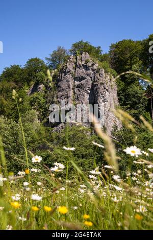 La formazione rocciosa sette Vergini (vista parziale) nella valle Hoenne tra Hemer e Balve, regione Sauerland, Nord Reno-Westfalia, Germania. Die Foto Stock