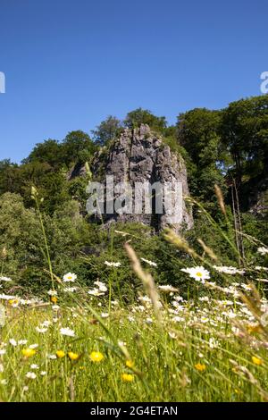 La formazione rocciosa sette Vergini (vista parziale) nella valle Hoenne tra Hemer e Balve, regione Sauerland, Nord Reno-Westfalia, Germania. Die Foto Stock