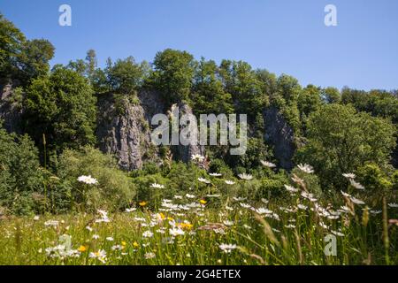 La formazione rocciosa sette Vergini (vista parziale) nella valle Hoenne tra Hemer e Balve, regione Sauerland, Nord Reno-Westfalia, Germania. Die Foto Stock