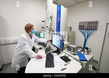 Schenefeld, Germania. 21 Giugno 2021. Kristina Lorenzen, responsabile e scienziato di laboratorio, guarda un quadro delle proteine attraverso un microscopio elettronico nel laboratorio biologico XBI del campus della struttura internazionale di ricerca europea XFEL. Tra le altre cose, vi si sta svolgendo una ricerca sulla struttura di una proteina che porta il coronavirus nel suo involucro. La XFEL europea gestisce il laser a raggi X più grande del mondo. Credit: Marco Brandt/dpa/Alamy Live News Foto Stock