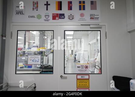 Schenefeld, Germania. 21 Giugno 2021. Vista del laboratorio biologico XBI nel campus della struttura internazionale di ricerca European XFEL. Tra le altre cose, vi si sta svolgendo una ricerca sulla struttura di una proteina che porta il coronavirus nel suo involucro. La XFEL europea gestisce il laser a raggi X più grande del mondo. Credit: Marco Brandt/dpa/Alamy Live News Foto Stock