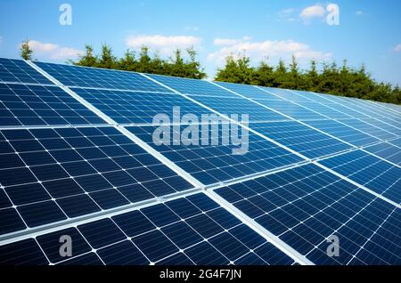Moduli solari in una zona rurale in una giornata di sole, fuoco selettivo. Foto Stock