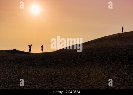Tre persone su una duna, donna che scattano foto di donna, uomo che guarda, silhouette al tramonto, Nordjylland, Jutland del Nord, Danimarca Foto Stock