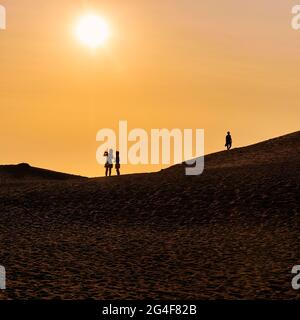 Tre persone sulla duna, due donne che prendono selfie, uomo che cammina, silhouette al tramonto, Nordjylland, Jutland settentrionale, Danimarca Foto Stock