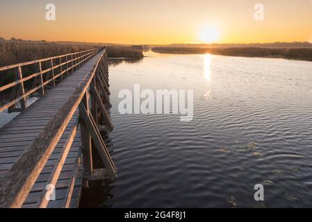 Federseesteg, passerella sul lago Federsee, umore serale, Federsee, Bad Buchau, Baden-Wuerttemberg, Germania Foto Stock