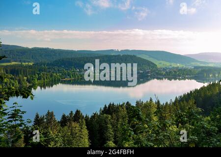 Lago alla luce del mattino, Titisee, Titisee-Neustadt, Foresta Nera, Baden-Wuerttemberg, Germania Foto Stock