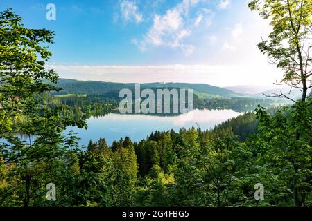 Lago alla luce del mattino, Titisee, Titisee-Neustadt, Foresta Nera, Baden-Wuerttemberg, Germania Foto Stock