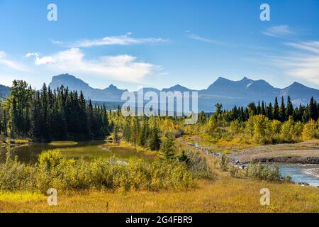 Vista sul fiume verso le montagne, alberi decidui gialli autunnali, Montagne Rocciose al Glacier National Park, Kennedy Creek, Glacier County, Montana, USA Foto Stock