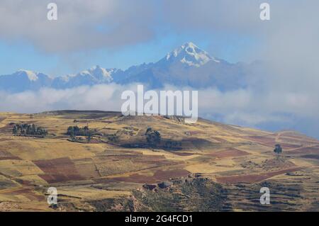 Campi coltivati nell'Altiplano di fronte alle Ande, Chinchero, regione di Cusco, provincia di Urubamba, Perù Foto Stock