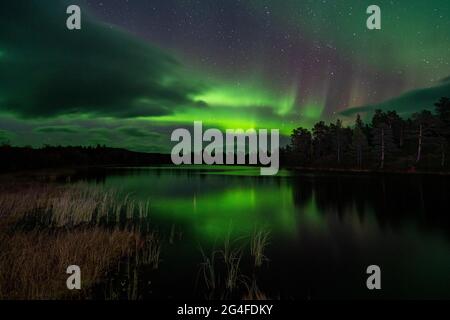 Aurora boreale sopra Abisko, Abisko, Svezia Foto Stock