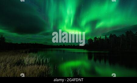 Aurora boreale sopra Abisko, Abisko, Svezia Foto Stock