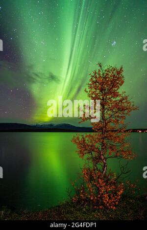 Aurora boreale sopra il lago Tornetraesk, Abisko, Svezia Foto Stock