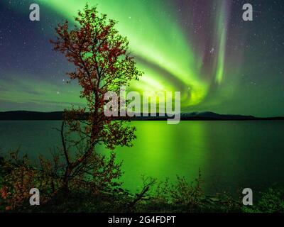 Aurora boreale sopra il lago Tornetraesk, Abisko, Svezia Foto Stock