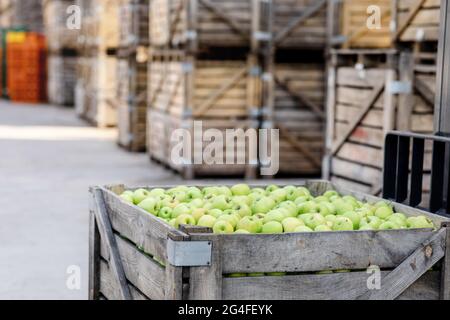 Buon raccolto di succosa frutta fresca matura, biologica, vendita di prodotti, distribuzione in magazzino Foto Stock